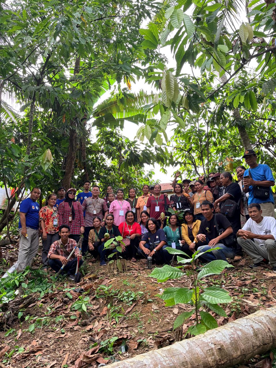 Women cocoa farmers at work in the field